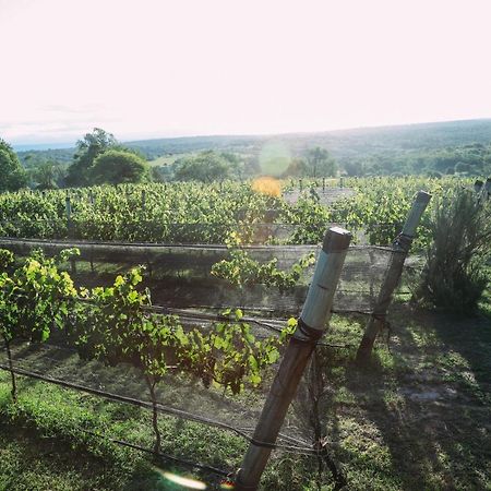 Cabana Sol Finca Pu Duam Вілья-Хенераль-Бельграно Екстер'єр фото