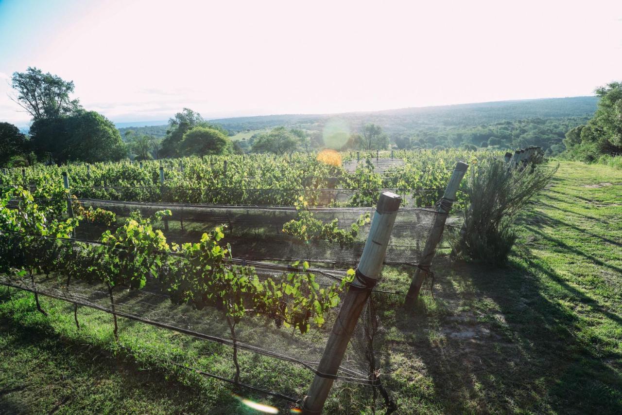 Cabana Sol Finca Pu Duam Вілья-Хенераль-Бельграно Екстер'єр фото